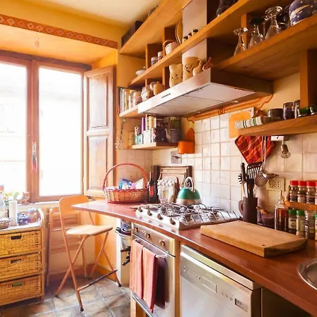 Charming Bright Colosseum